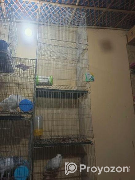 খাঁচা/khacha