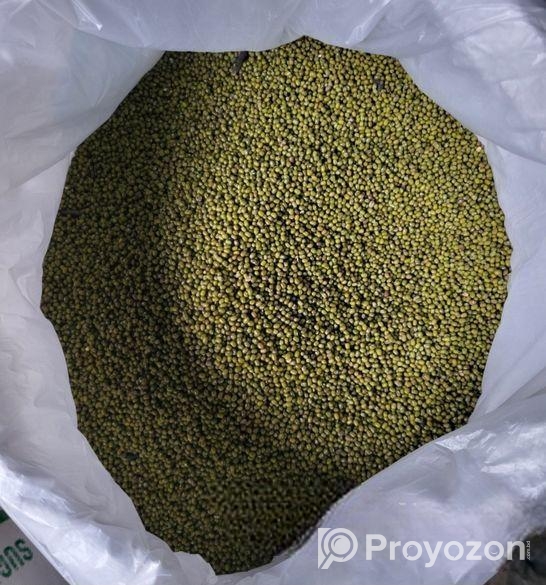 মুগর কালাই এর বীজ