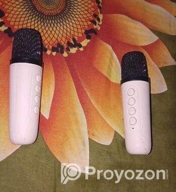 Karaoke K12 Speaker