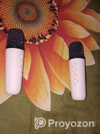 Karaoke K12 Speaker
