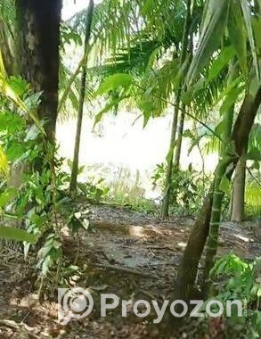 Land Sale