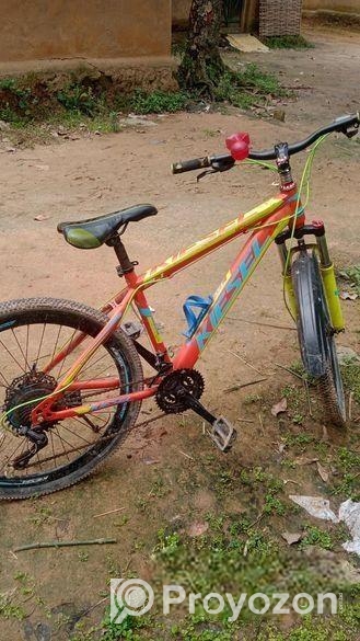 Bicycle for sale
