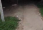 শিরোমণি বিসিক শিল্পনগরী জমি বিক্রয়