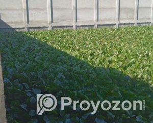 fitted-6_2025-09-26_21-32-12