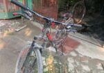 Veloce Sleyar Cycle