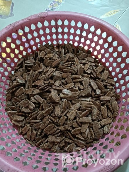 ১০০০+ পিস বড় কদূর বিচি