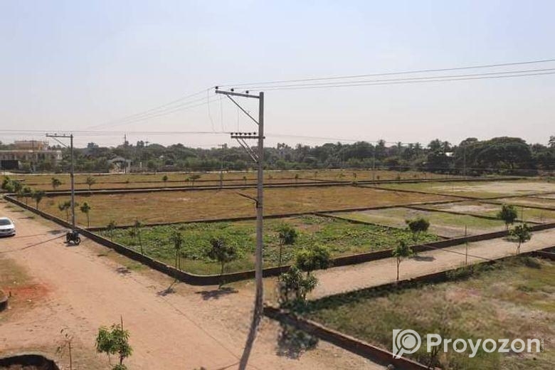 মধুসিটির প্রজেক্ট সময়ের সেরা লোকেশনে।।।