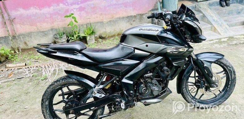 Bajaj Pulsar NS 160 . 2019