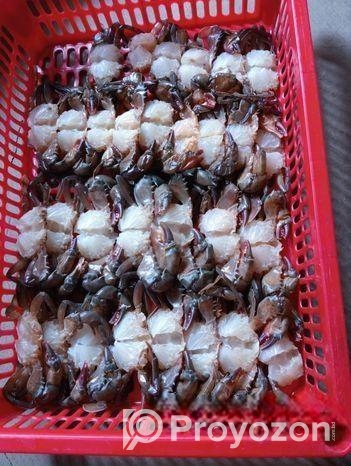 কাকড়া ফ্রাই