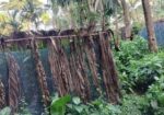 জমি বিক্রি