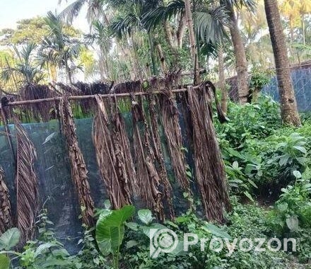 জমি বিক্রি