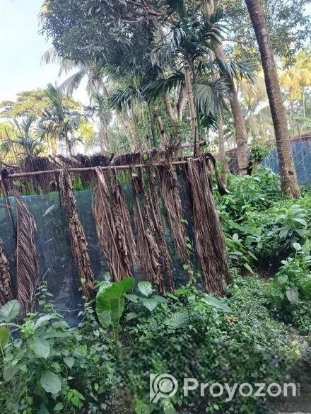 জমি বিক্রি