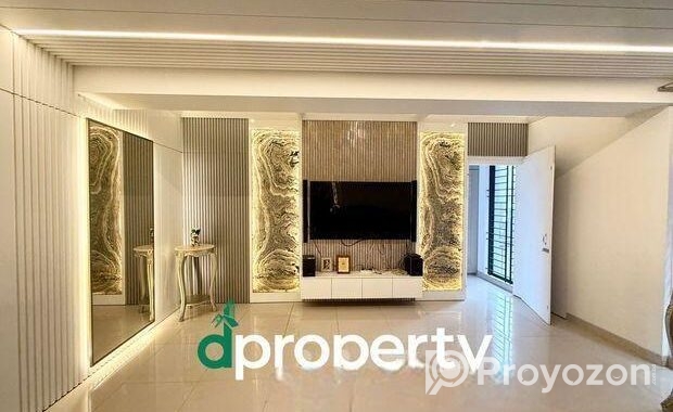 3000 SFT Luxarious Brand new Full Furnished apartm