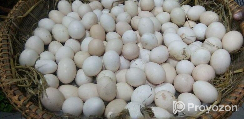 দেশি মুরগী ডিম