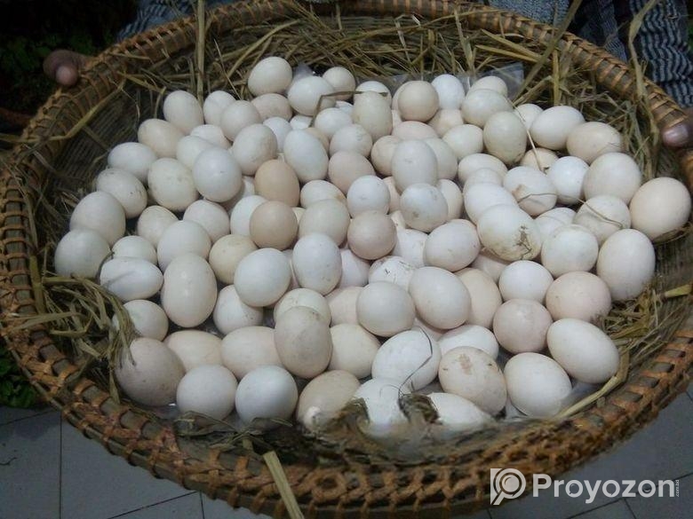 দেশি মুরগী ডিম