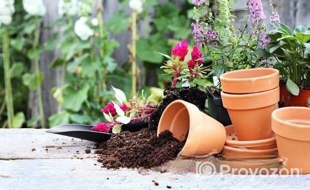 পট সয়েল (Pot Soil) ৫ কেজি প্যাক