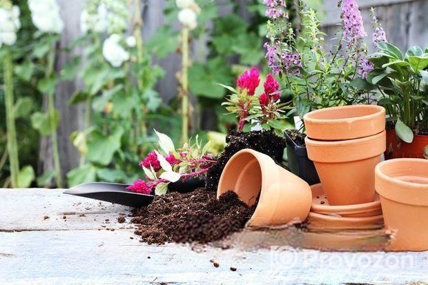 পট সয়েল (Pot Soil) ৫ কেজি প্যাক