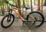 Bicycle for sell