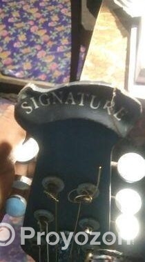 Signature Guitar
