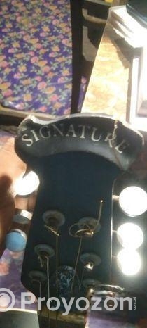 Signature Guitar