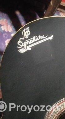 Signature Guitar