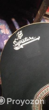 Signature Guitar