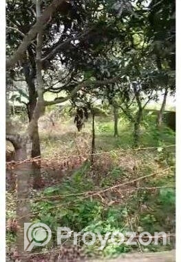 জমি বিক্রি