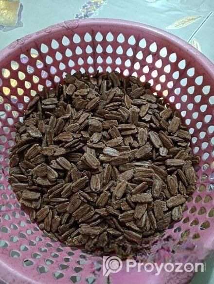 বড়ো কদুর বিজ