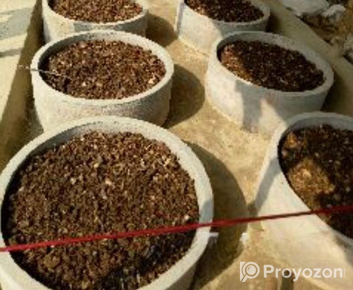 ভার্মি কম্পোস্ট ২৫ কেজি প্যাক