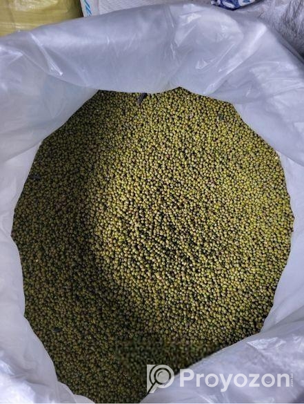 মুগর কালাই এর বীজ