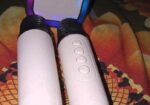 Karaoke K12 Speaker