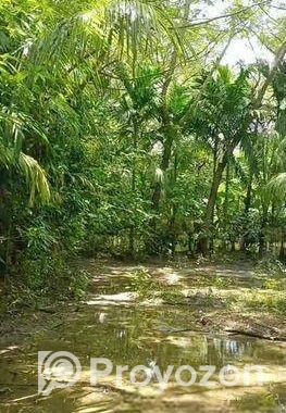 Land Sale