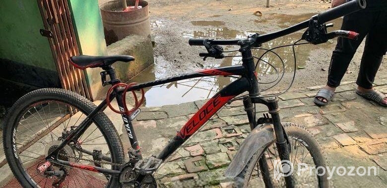 Veloce Sleyar Cycle
