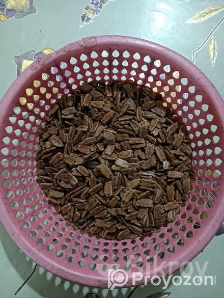 ১০০০+ পিস বড় কদূর বিচি