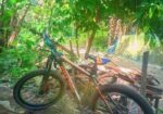 Bicycle For Sell