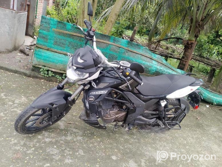 Runner UM Xtreet . 2023