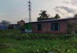 এখনই বাড়ি করার উপযোগী জমি বিক্রি হবে।