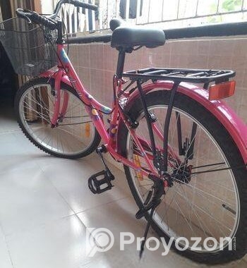 The Duranta Angellena Ladies Single Speed 26″ Bicycle with Baske