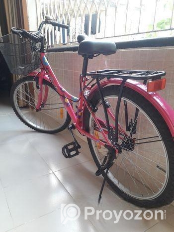 The Duranta Angellena Ladies Single Speed 26″ Bicycle with Baske