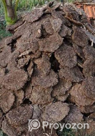 শুকনো গোবর গুঁড়া সার ২৫ কেজি বস্তা