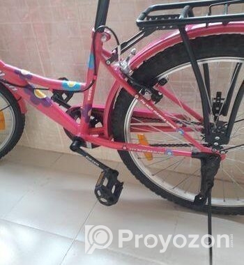 The Duranta Angellena Ladies Single Speed 26″ Bicycle with Baske