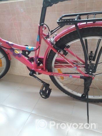 The Duranta Angellena Ladies Single Speed 26″ Bicycle with Baske