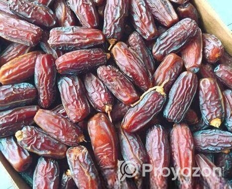 মদিনা থেকে সরাসরি – নতুন সিজনের রসালো মাবরুম মরিয়ম খেজুর!