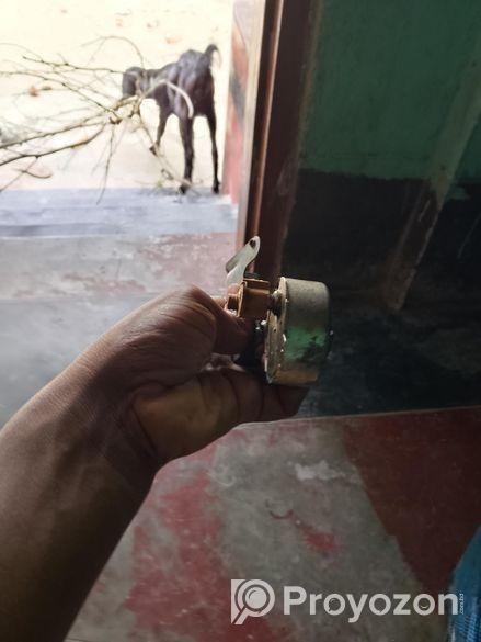 সিক্রোনাস মটোর