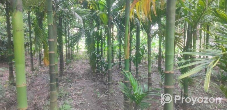 বাড়ী সহ জমি বিক্রয় করা হইবে