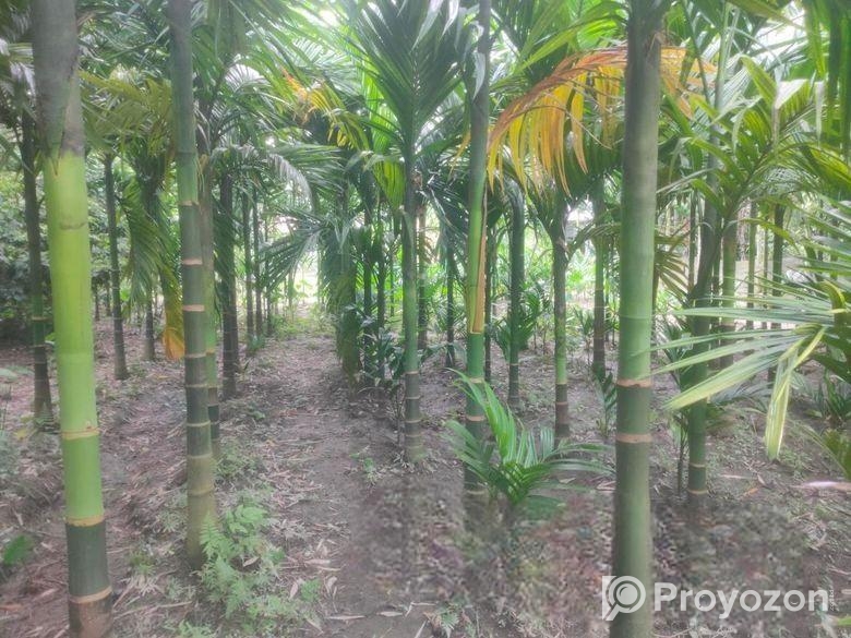 বাড়ী সহ জমি বিক্রয় করা হইবে