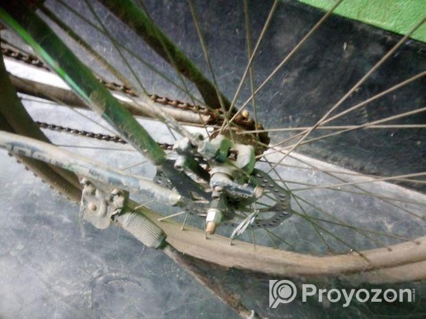 Phonix 26 cycle sell