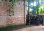 ইমারজেন্সি ভাবে বাড়ি বিক্রয় করা হবে তিন শতক জায়গা সহ