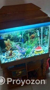 Aquarium Sell