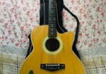 Deviser Guitar